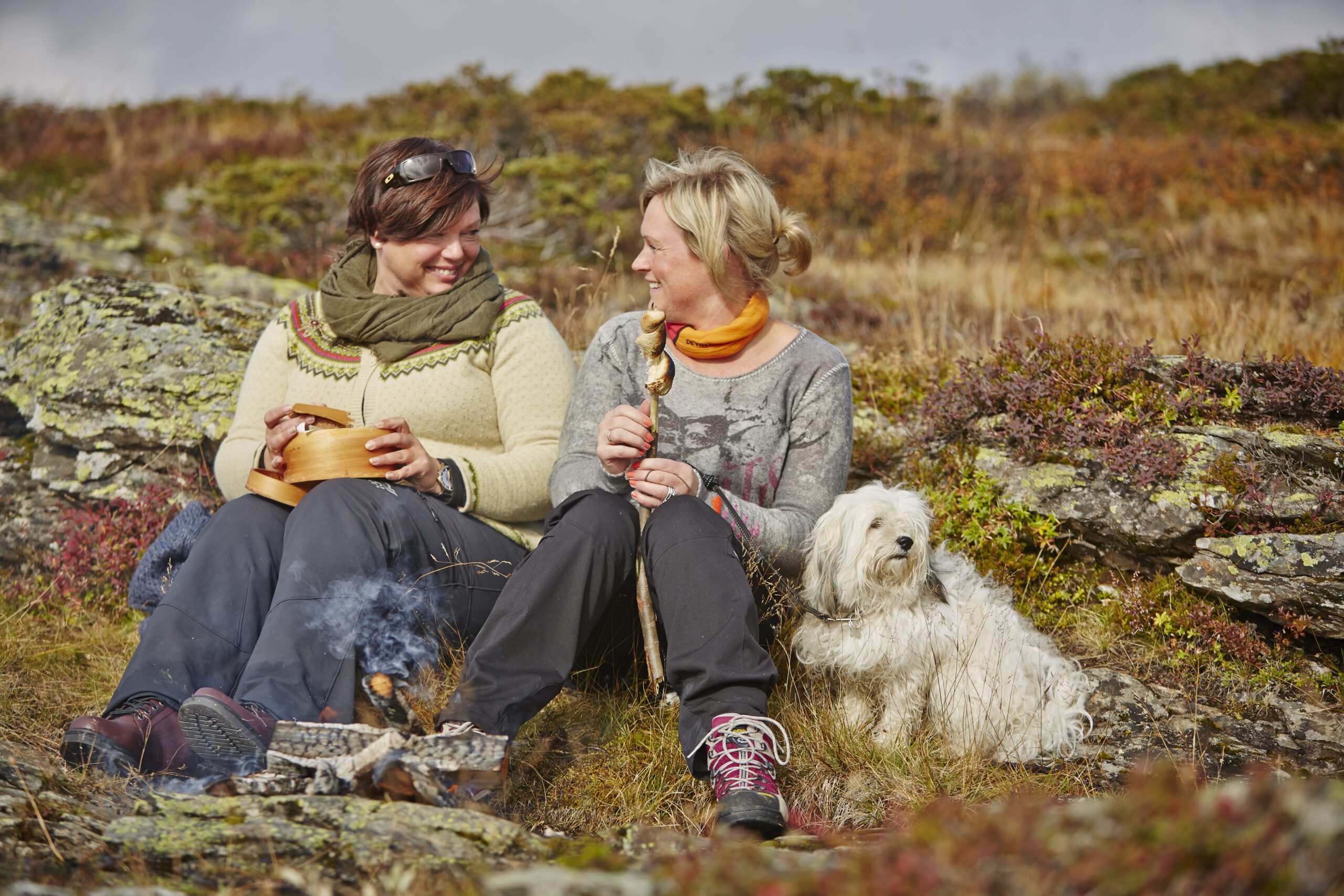 Høstbilde storefjell hund høst høstferie 