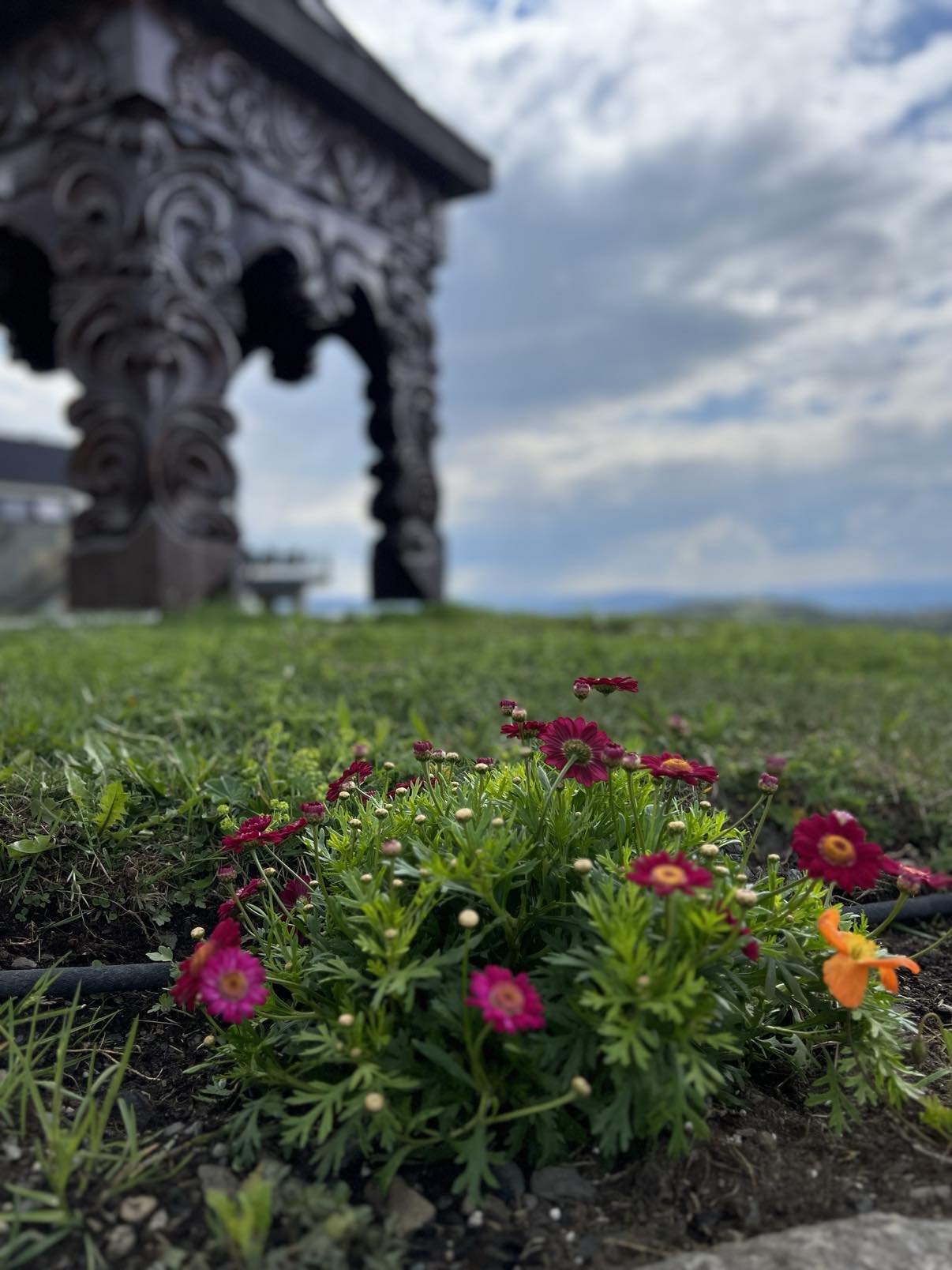 blomster To personer på sykkeltur