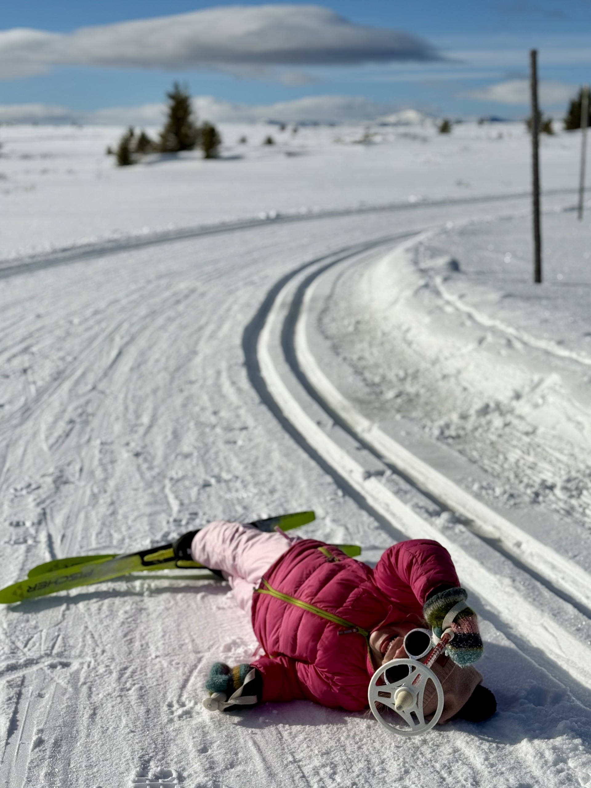 To personer på sykkeltur