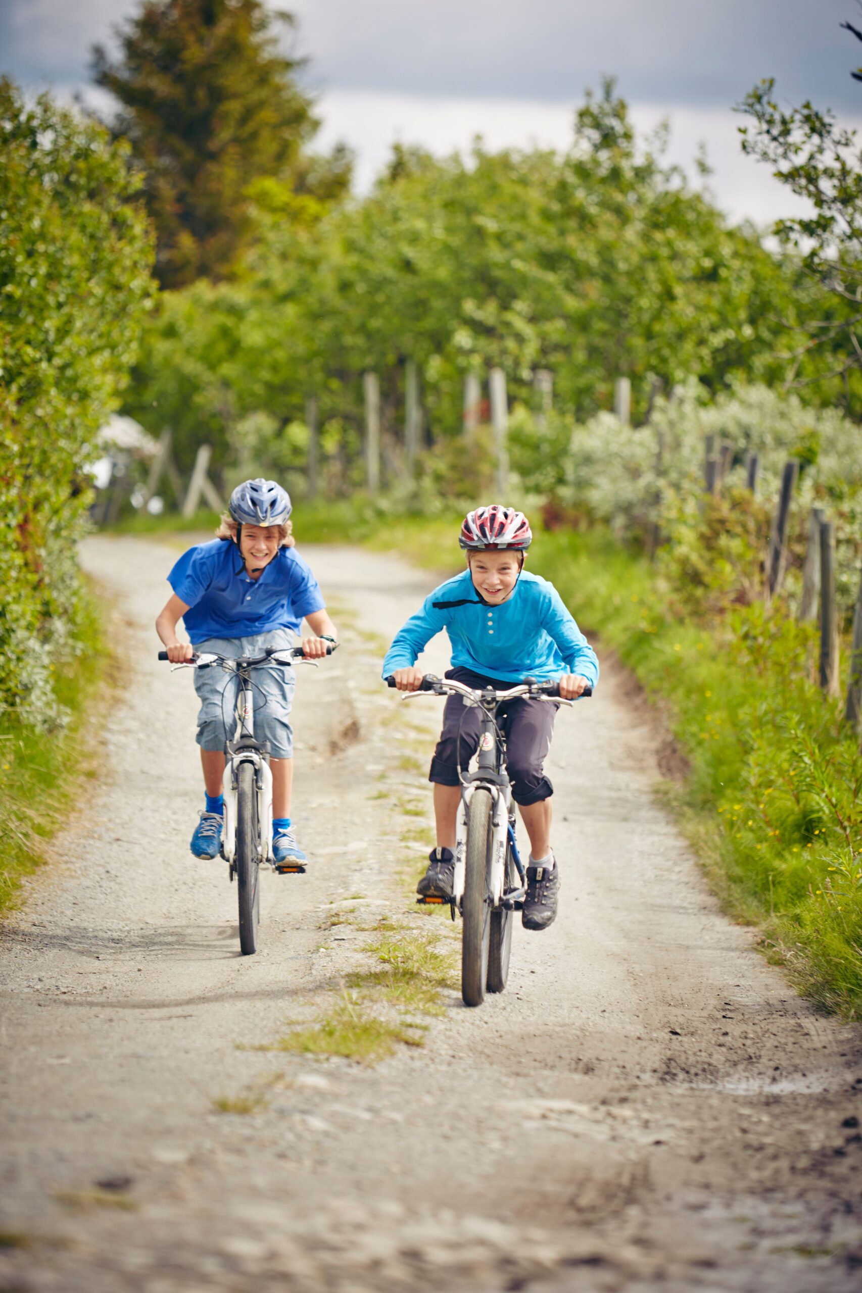 Sykling på Golsfjellet