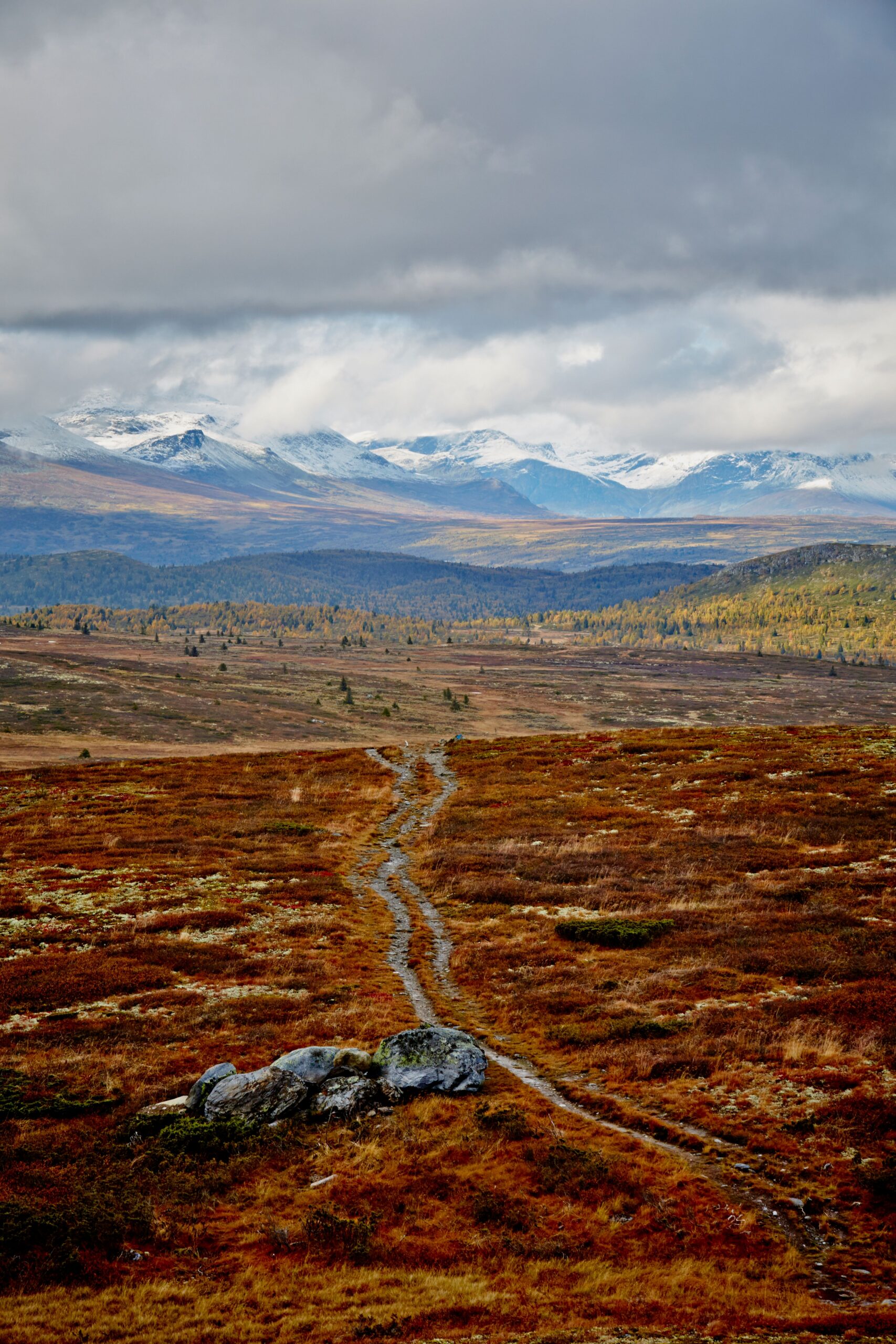 Sykling på Golsfjellet
