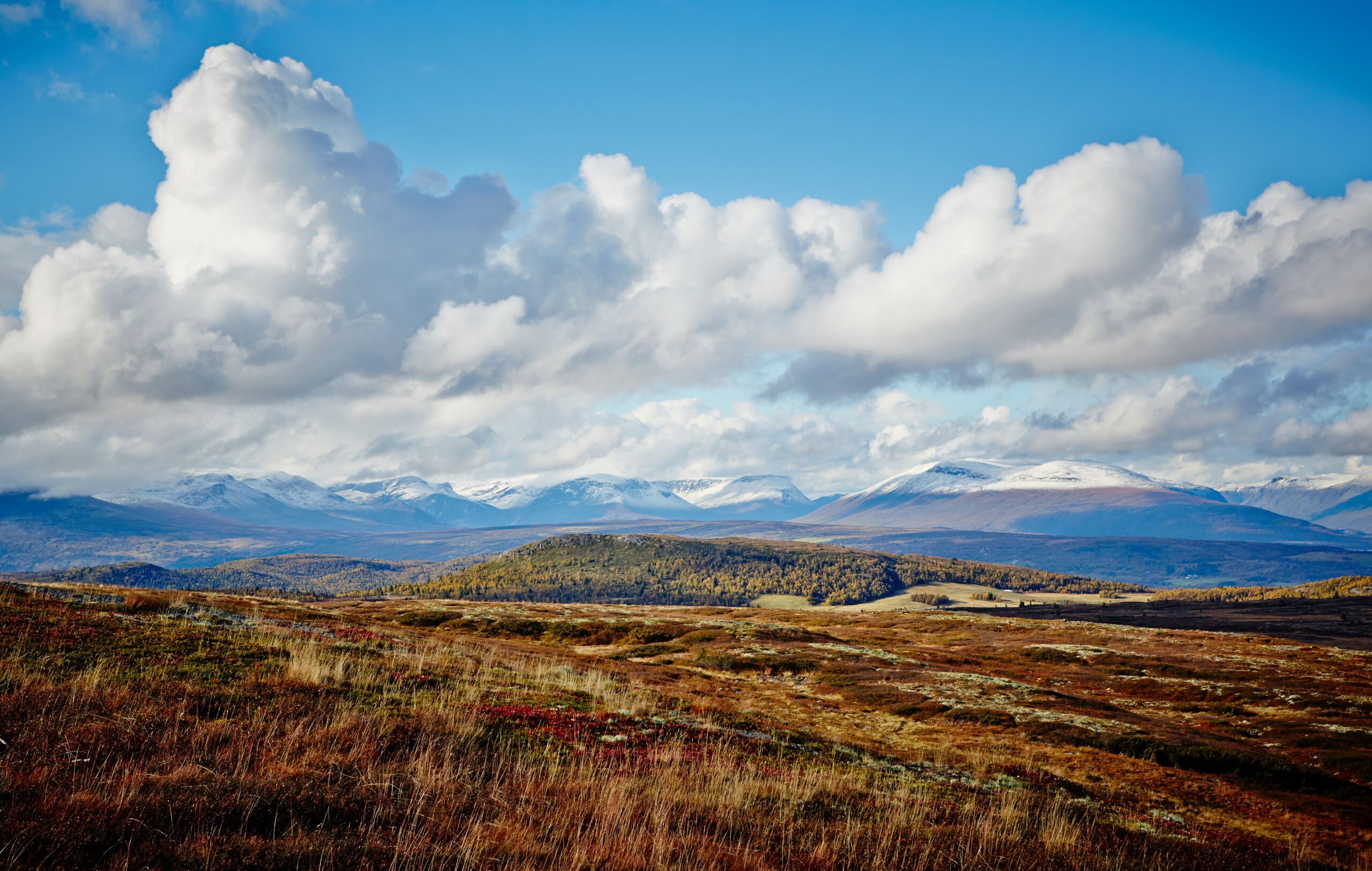 Jente som rir på Golsfjellet